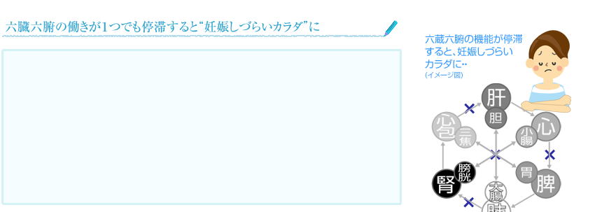 六蔵六腑のはたらきが滞ると、妊娠しづらい身体に