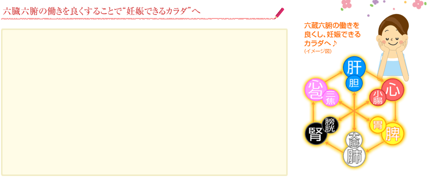 六蔵六腑のはたらきが良くなると、妊娠しやすい身体に